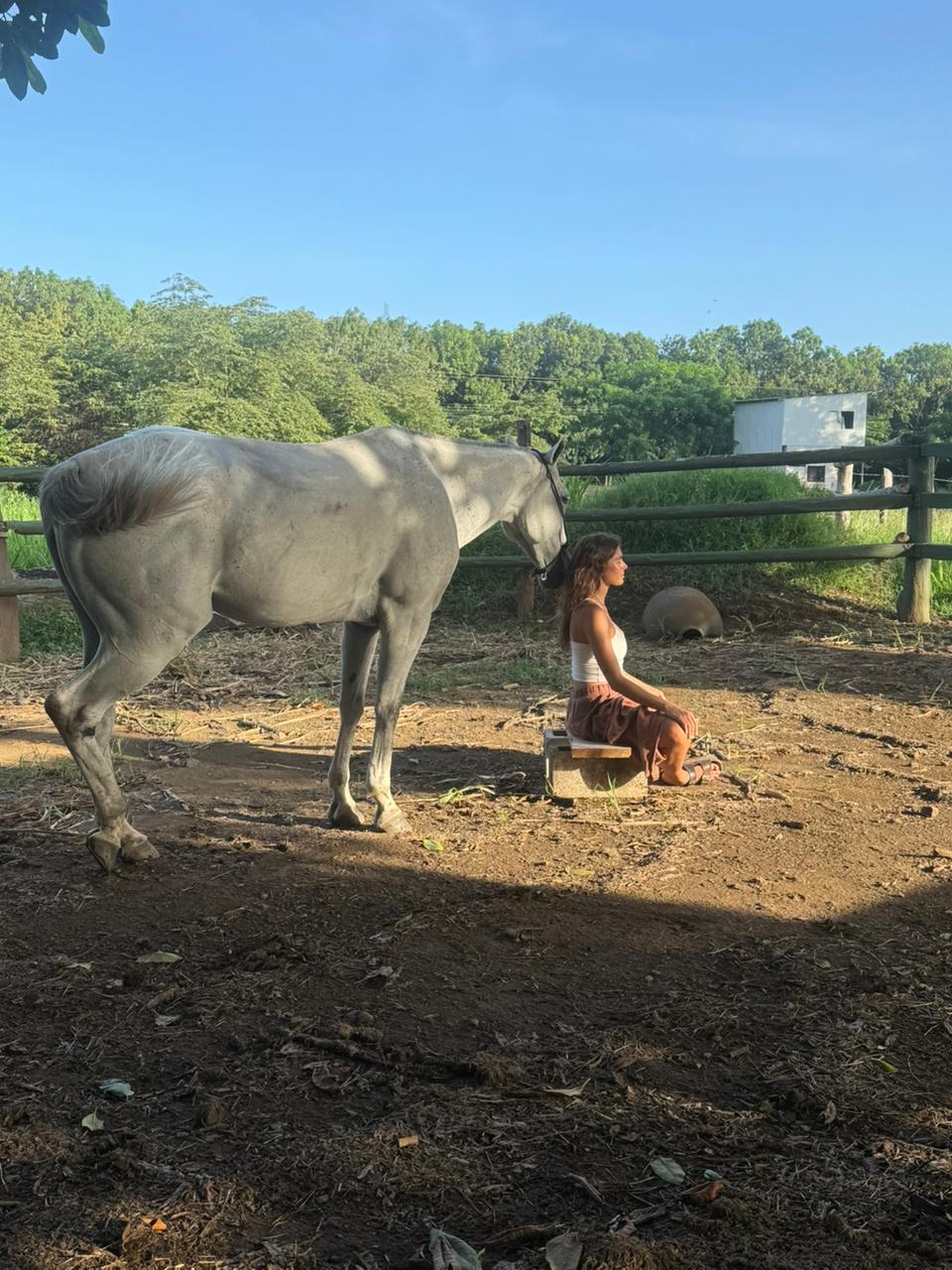 Woman sitting in stillness beside a white horse in a sunlit paddock